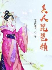 美人吟纯音乐琵琶